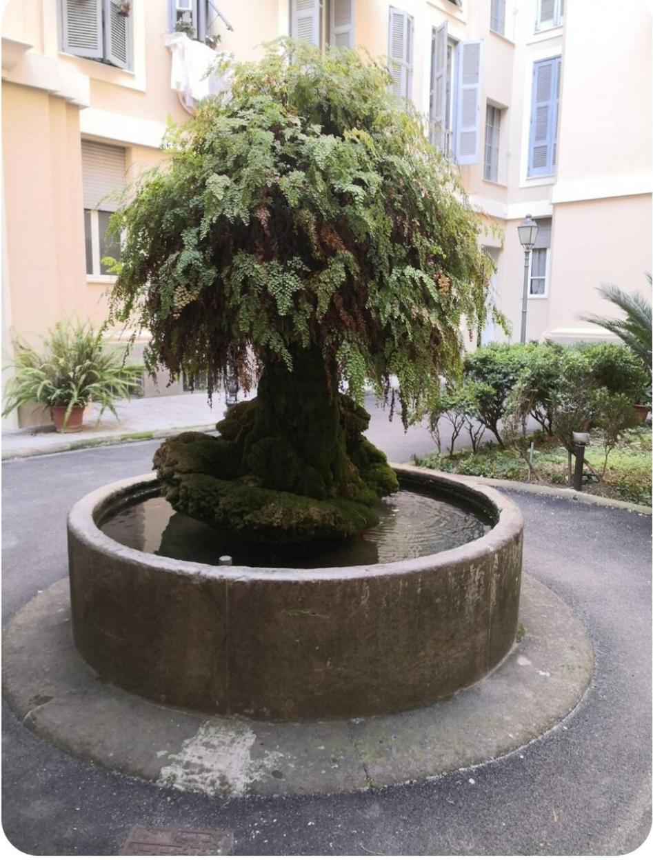 Unconventional Stay Roma Exterior foto
